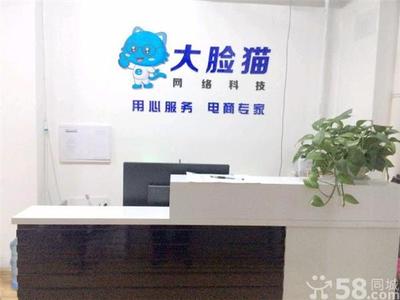 城阳中小企业主必看 800元开启的网站建设+全网营销自转化体系决策指南